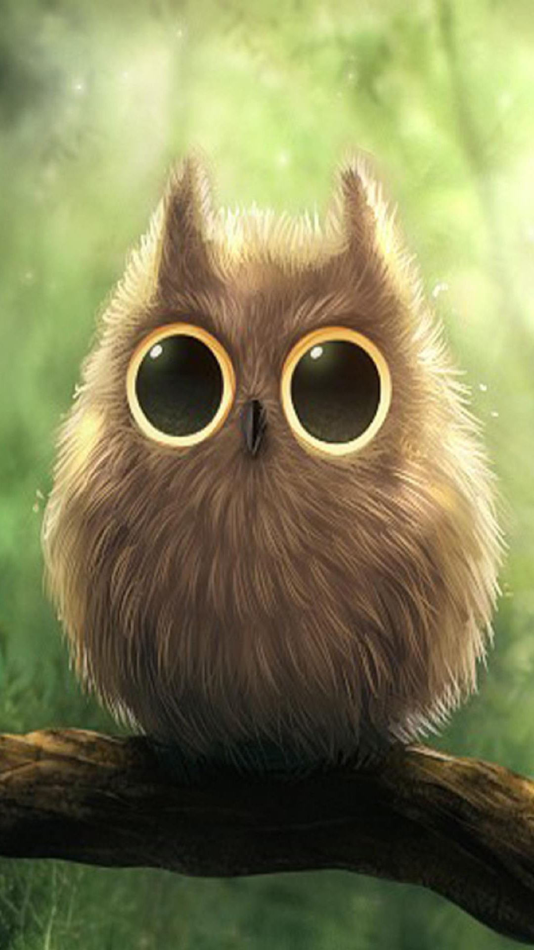 Cute Owl Iphone Wallpapers