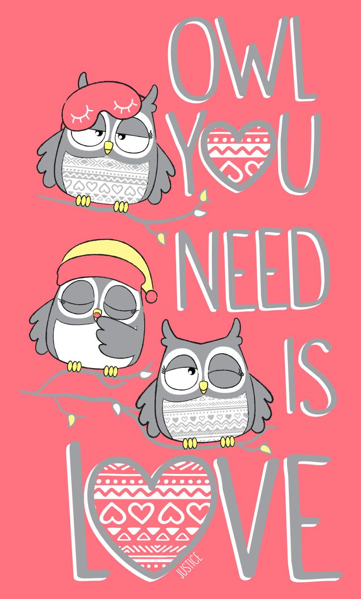 Cute Owl Iphone Wallpapers