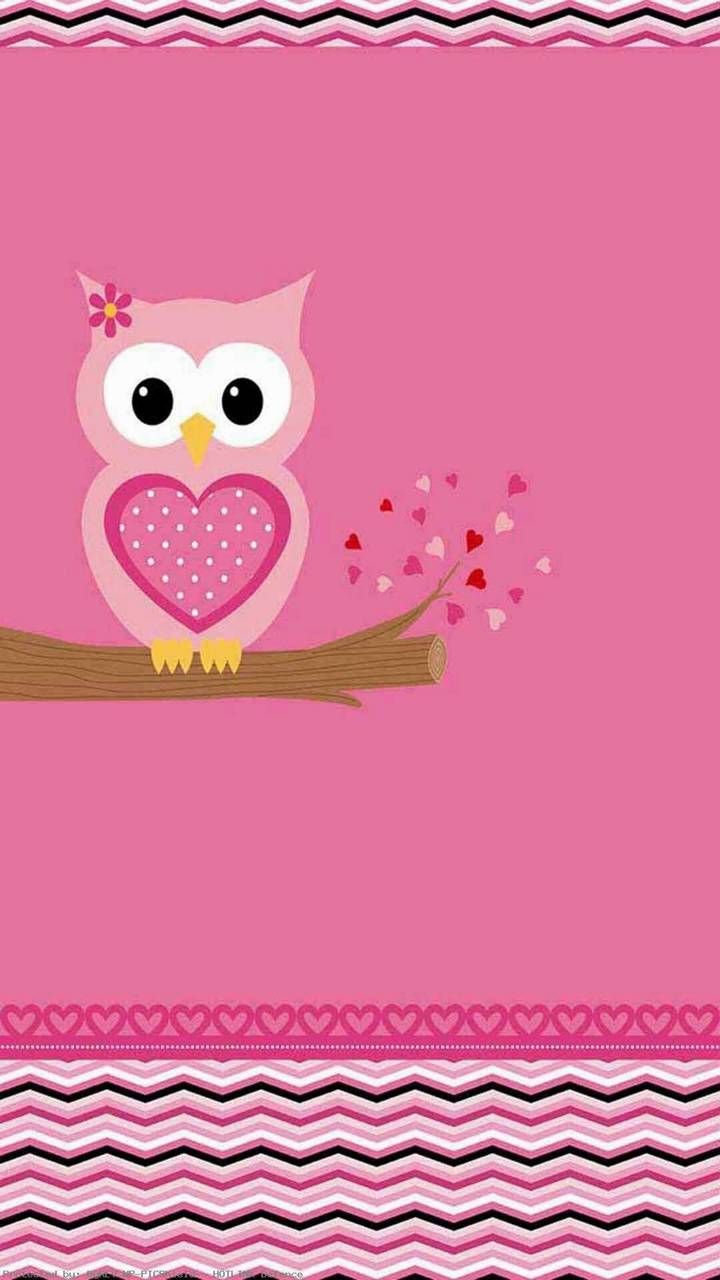 Cute Owl Phone Wallpapers