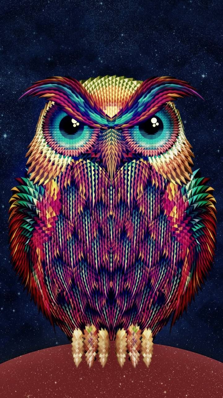 Cute Owl Phone Wallpapers