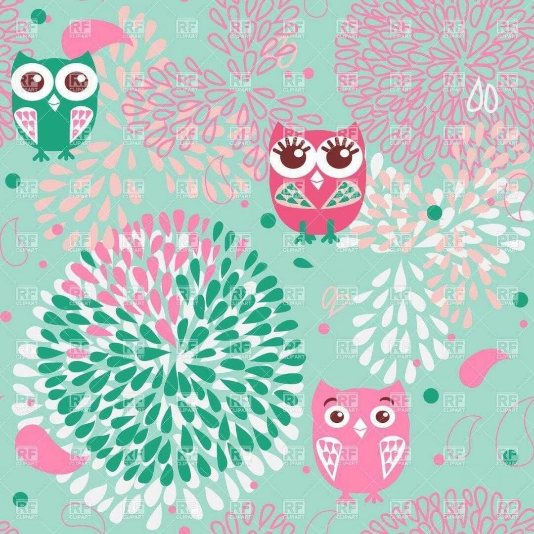 Cute Owl Phone Wallpapers