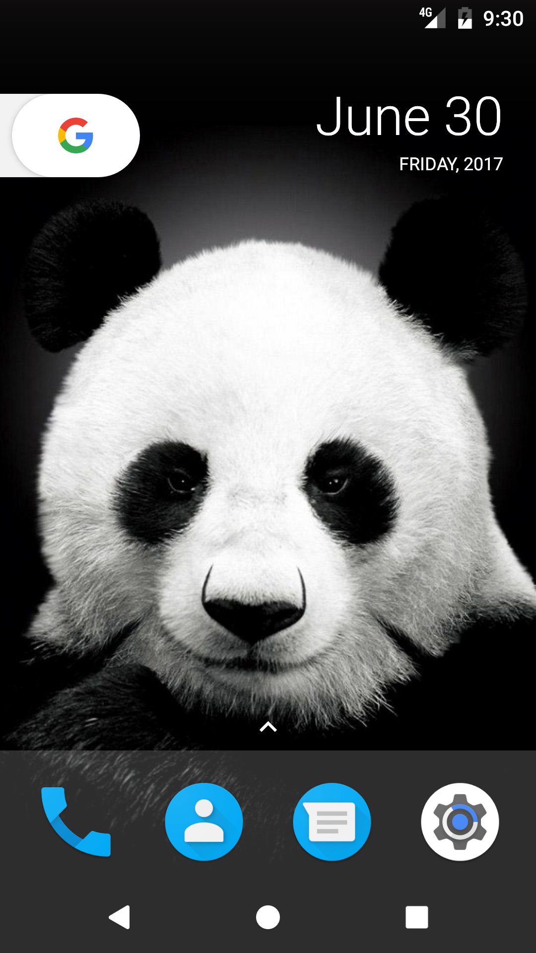 Cute Pandas Wallpapers Wallpapers