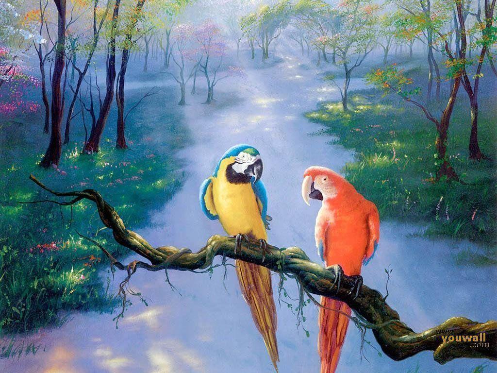 Cute Parrot Wallpapers