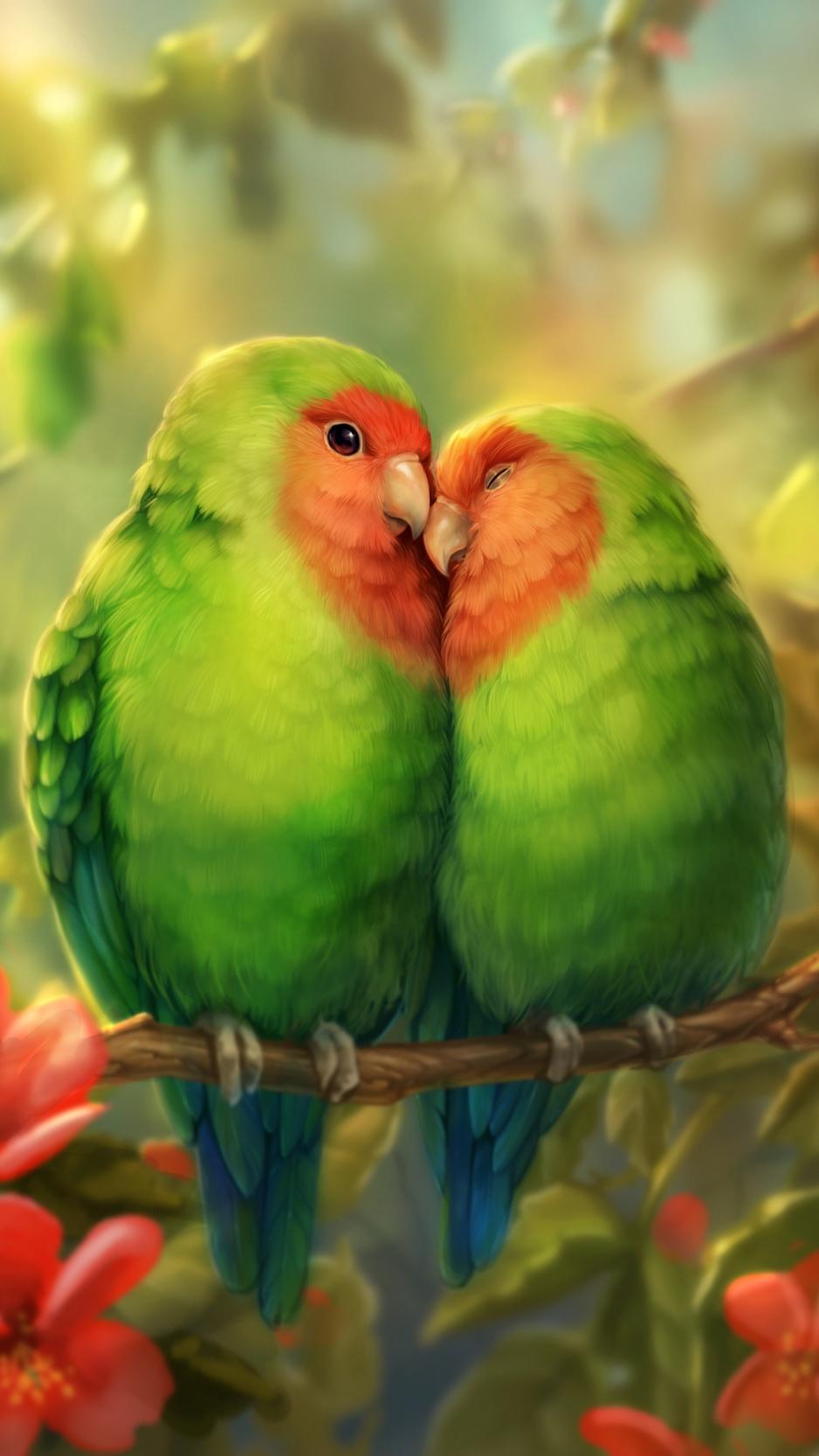 Cute Parrots Wallpapers