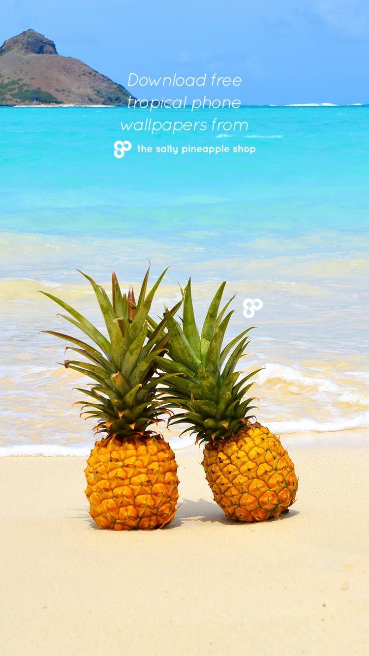 Cute Pineapple Beach Wallpapers Wallpapers