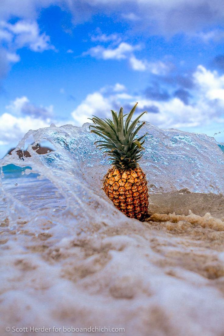 Cute Pineapple Beach Wallpapers Wallpapers