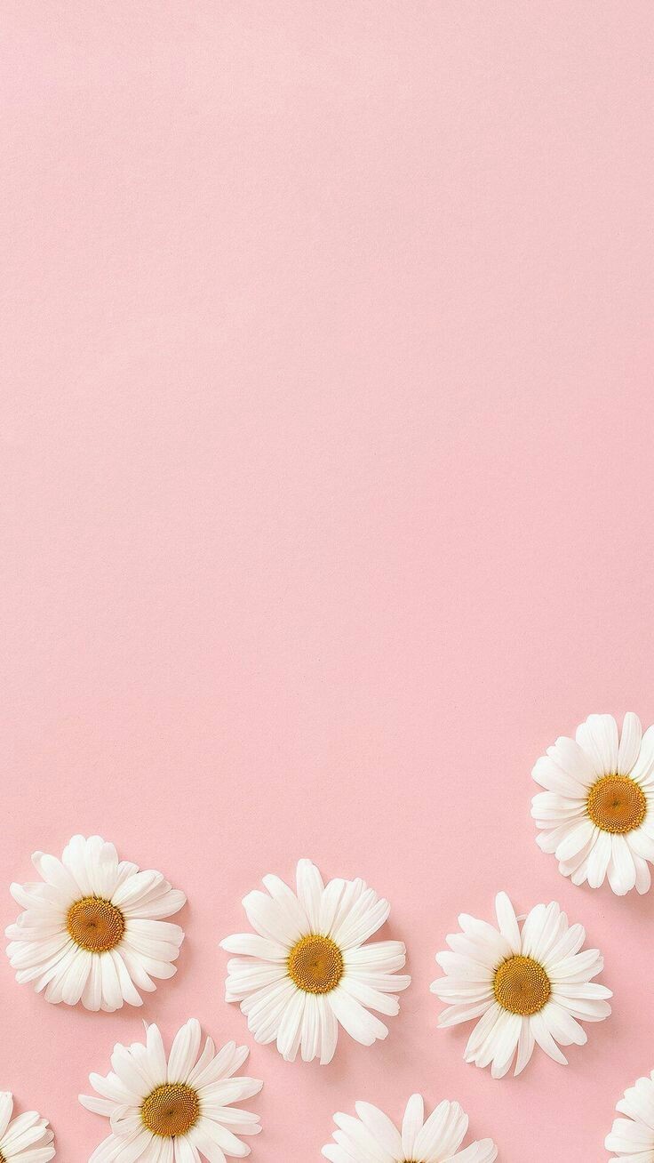 Cute Pink Aesthetic Wallpapers Wallpapers