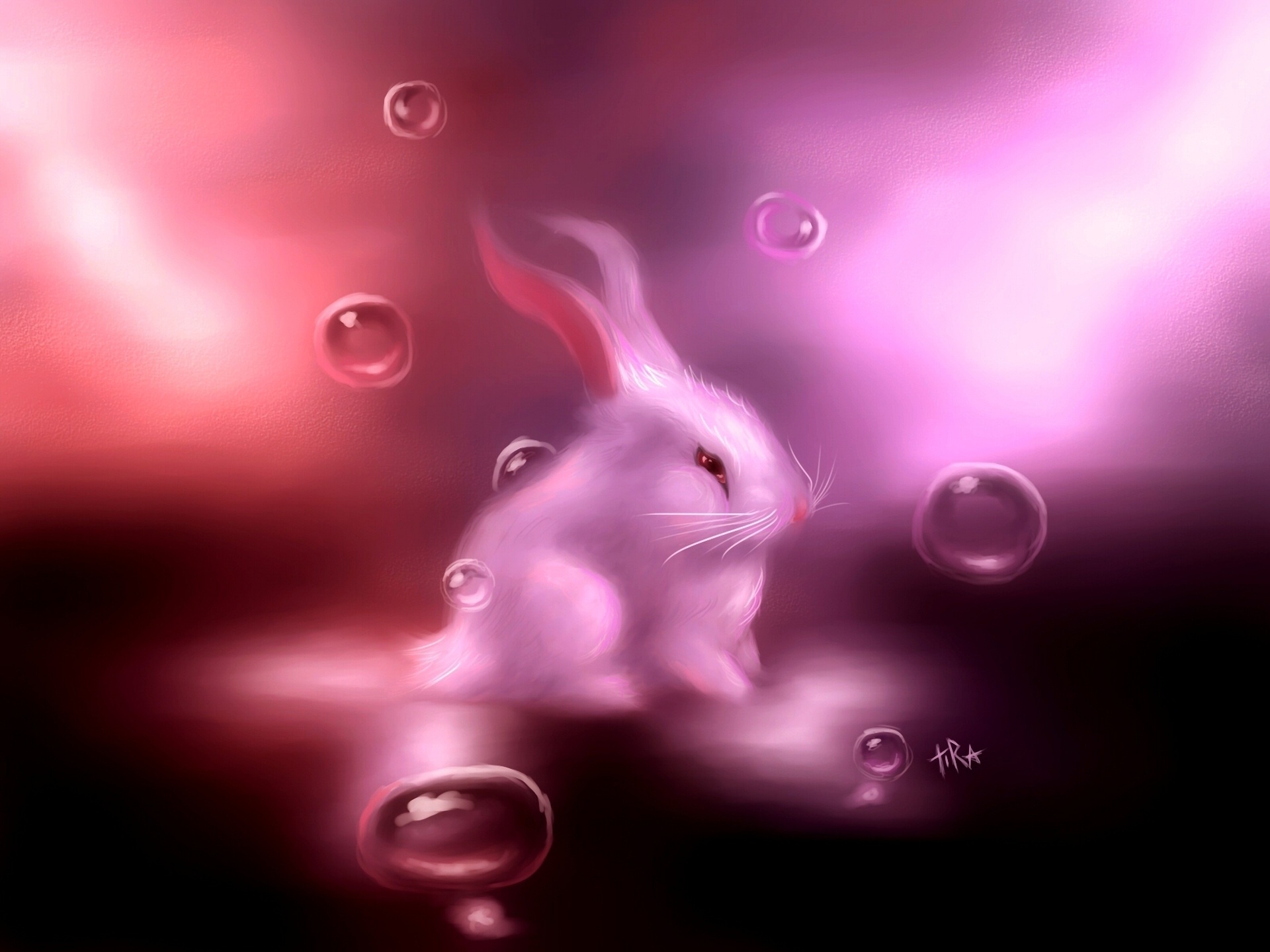 Cute Pink Bunny Wallpapers