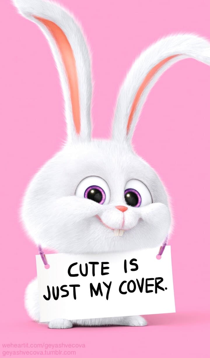Cute Pink Bunny Wallpapers