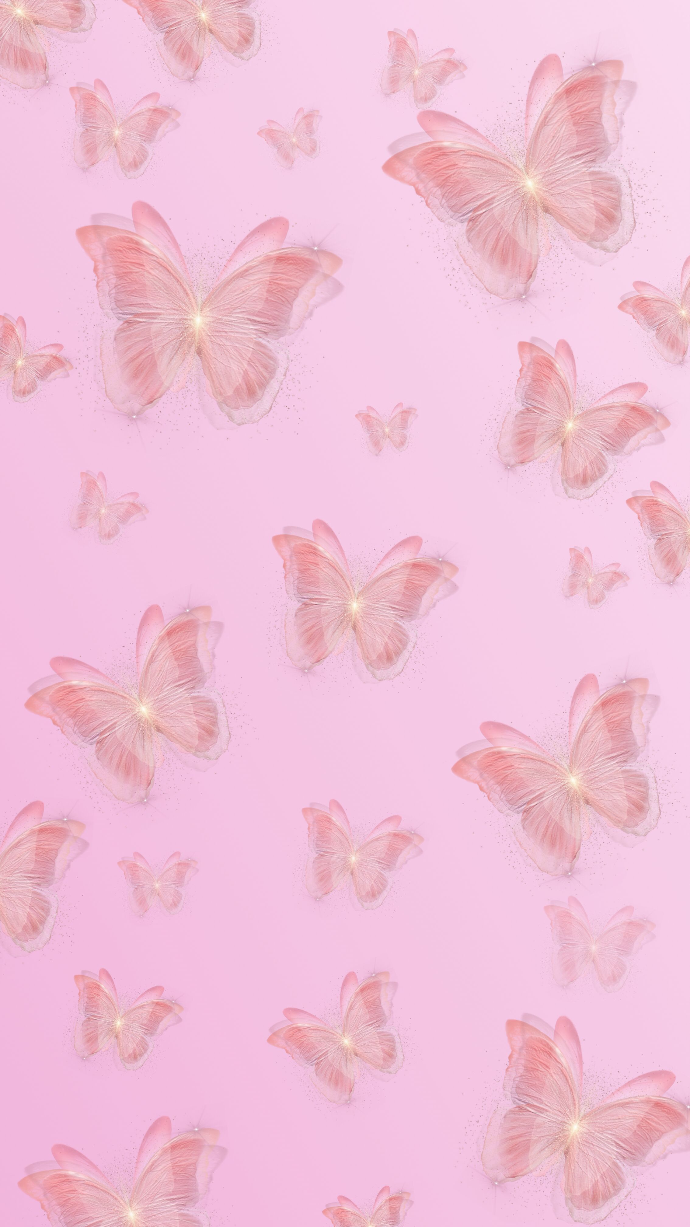 Cute Pink Butterfly Wallpapers