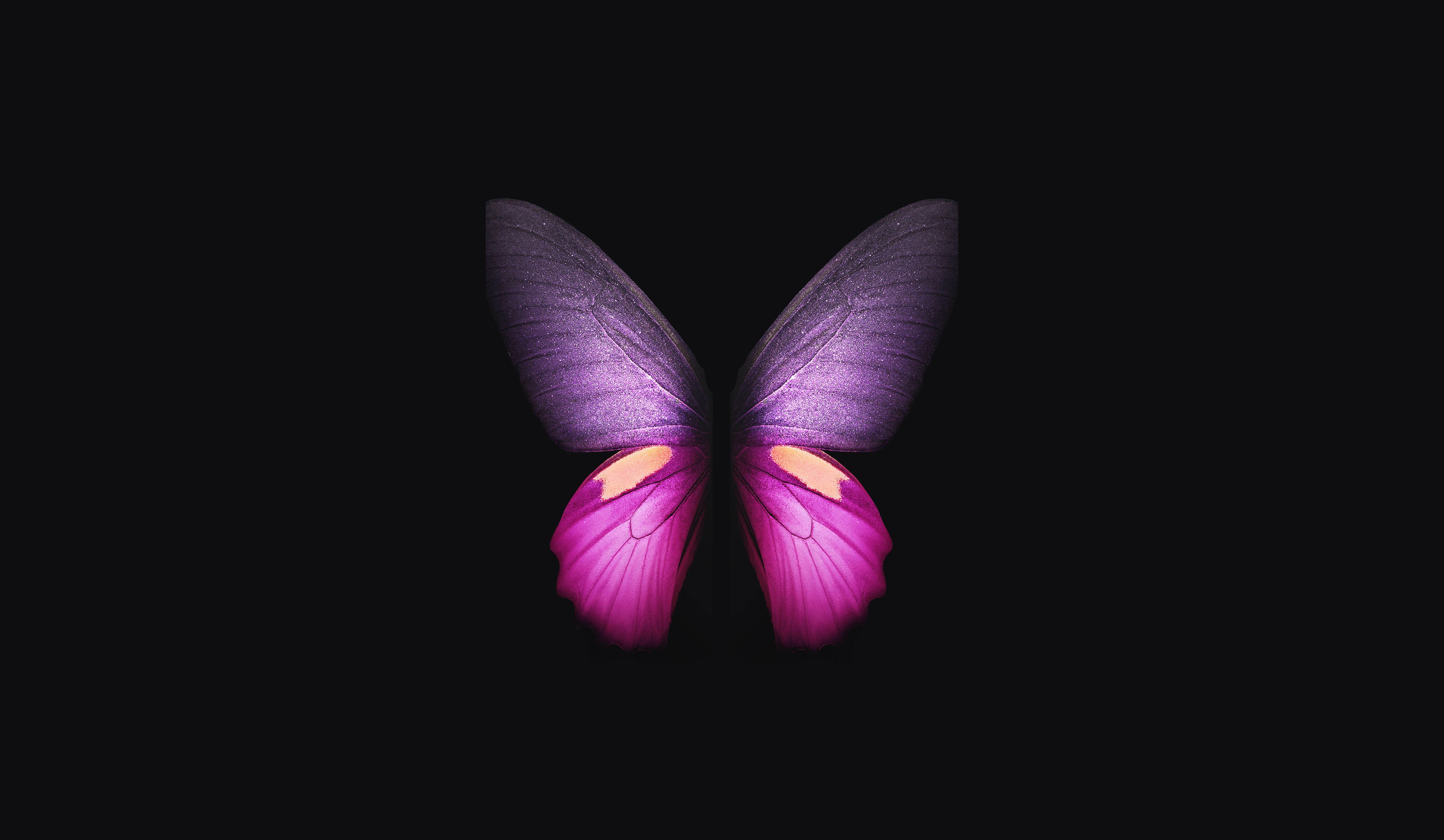 Cute Pink Butterfly Wallpapers