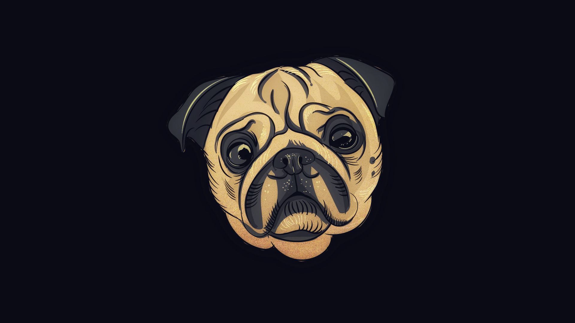 Cute Pug Wallpapers