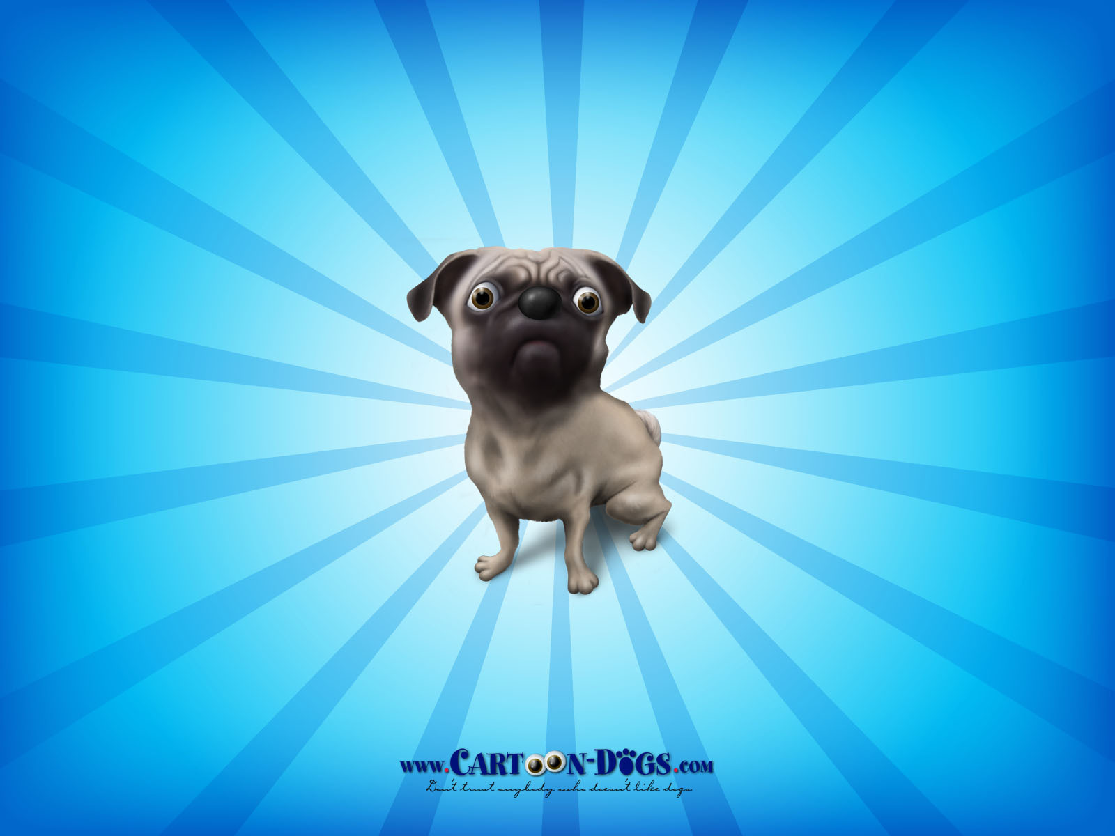 Cute Pug Wallpapers