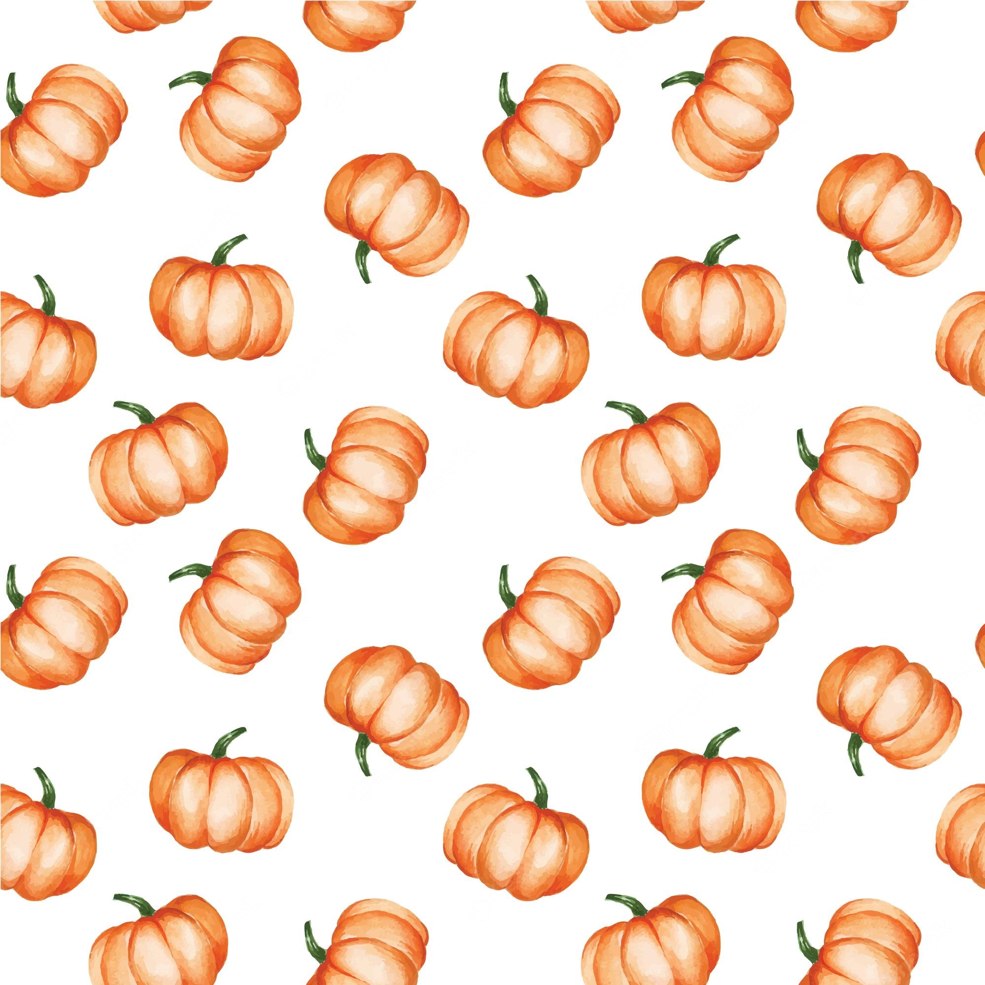 Cute Pumpkin Wallpapers