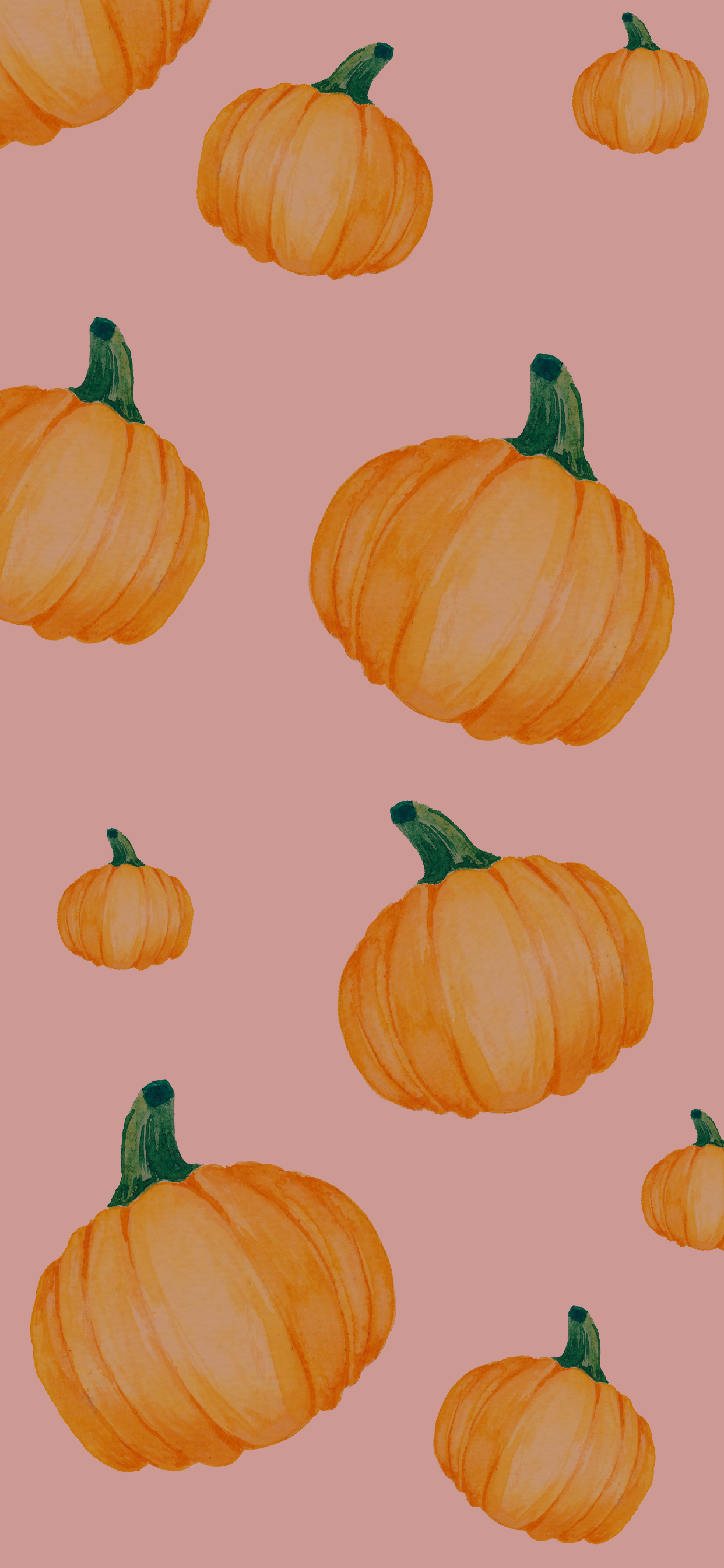 Cute Pumpkin Wallpapers