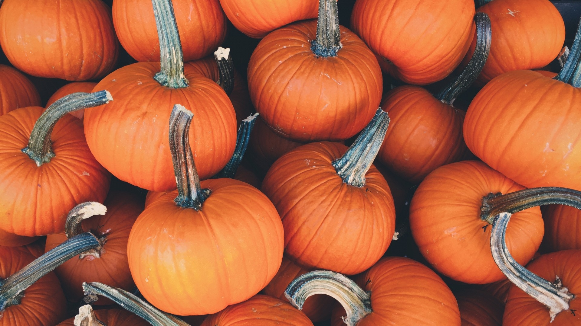 Cute Pumpkin Desktop Wallpapers