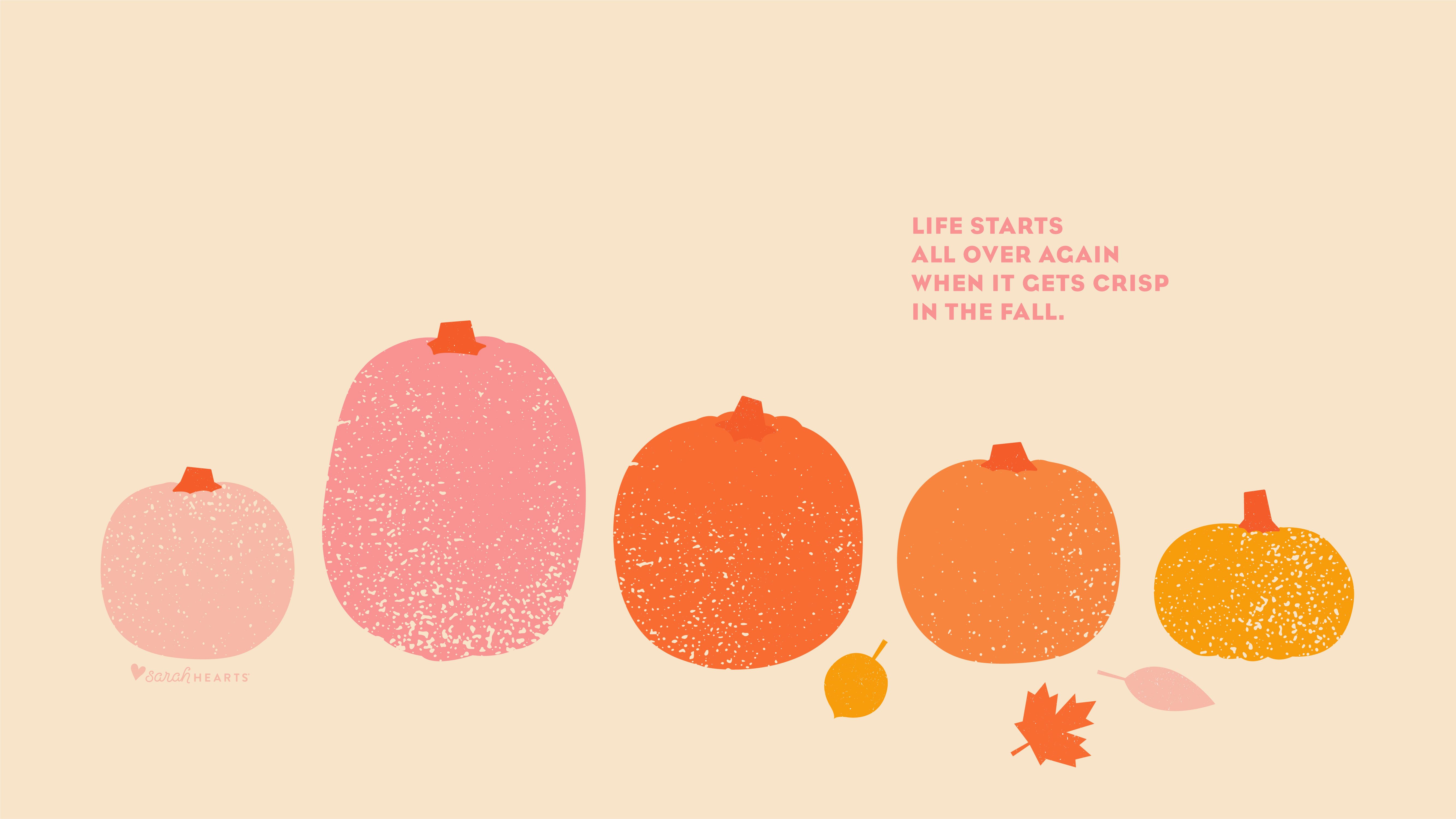 Cute Pumpkin Wallpapers Wallpapers