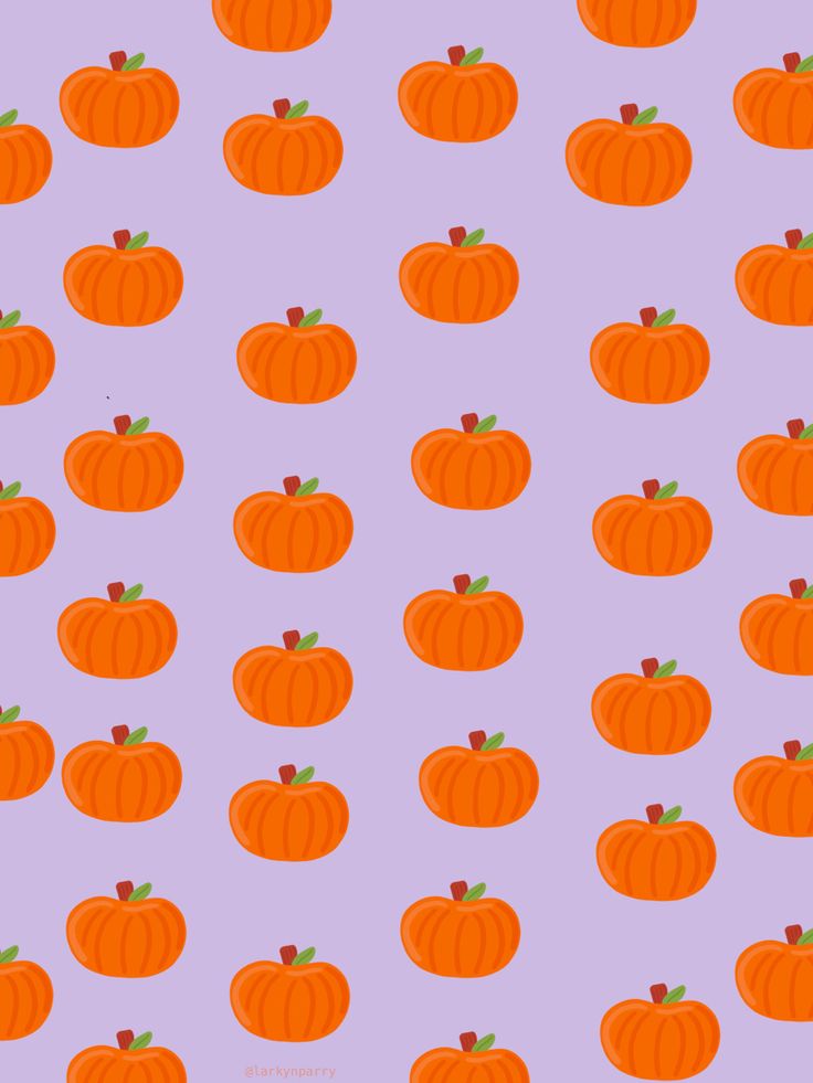 Cute Pumpkins Wallpapers Wallpapers