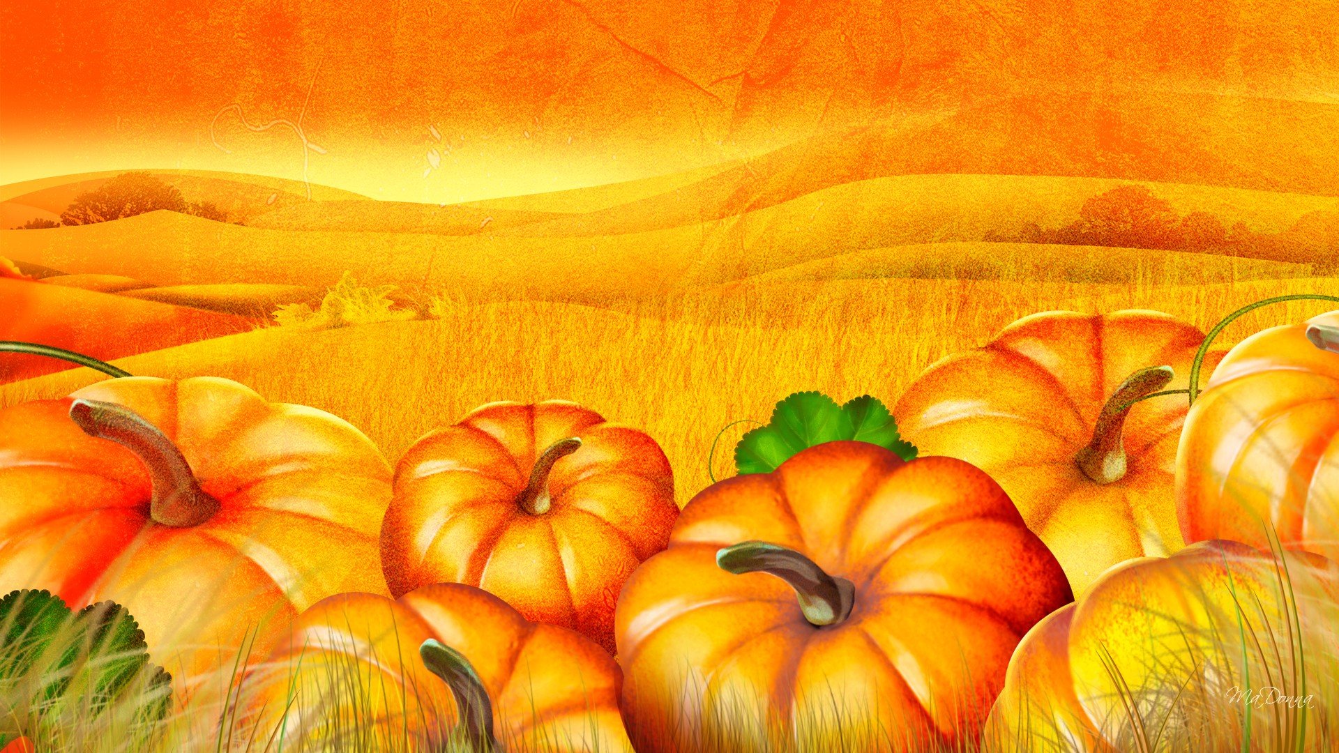 Cute Pumpkins Wallpapers Wallpapers