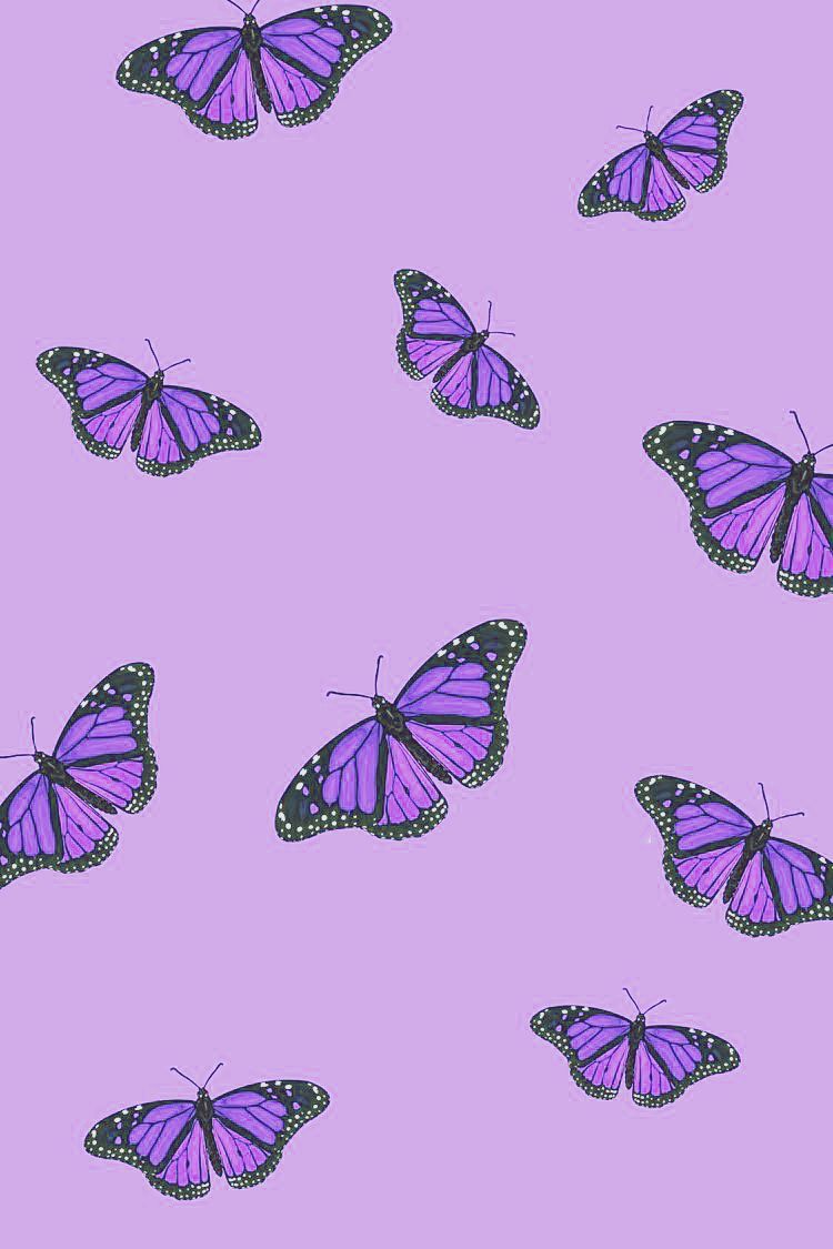 Cute Purple Butterfly Wallpapers