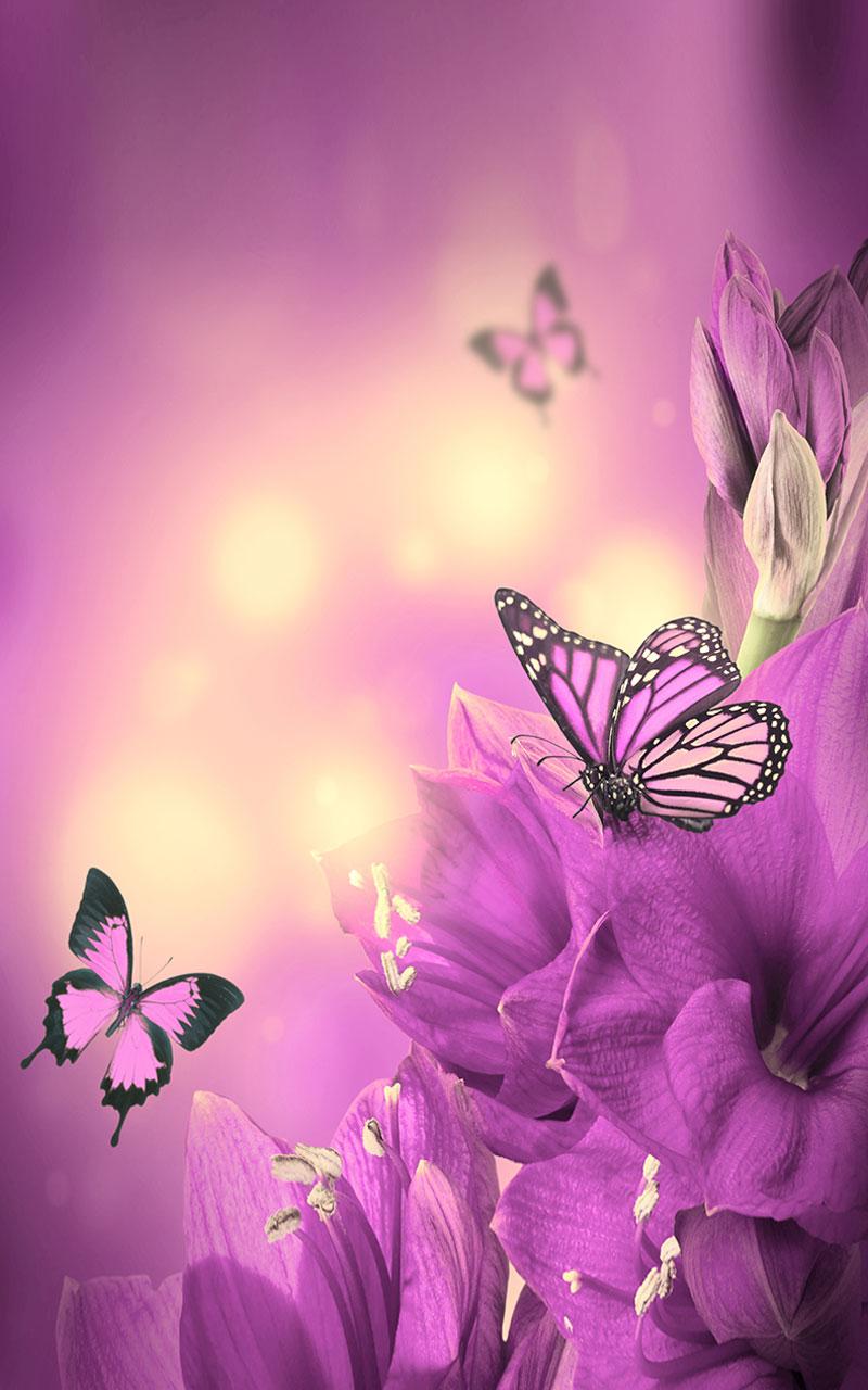 Cute Purple Butterfly Wallpapers