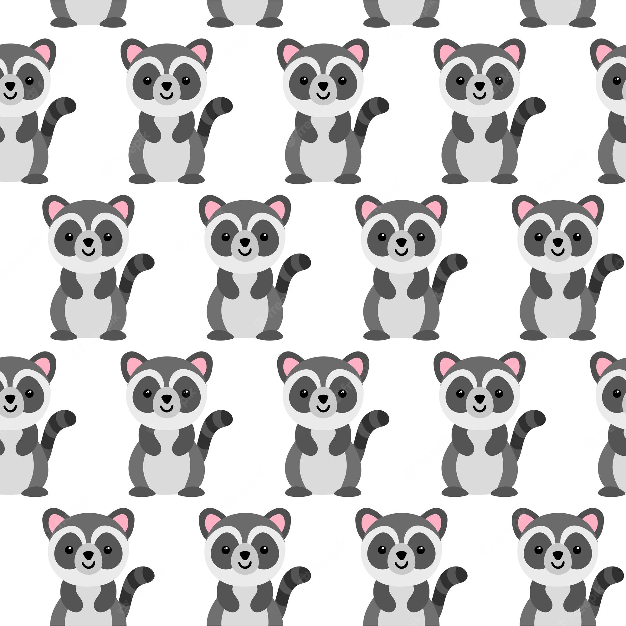 Cute Raccoon Wallpapers