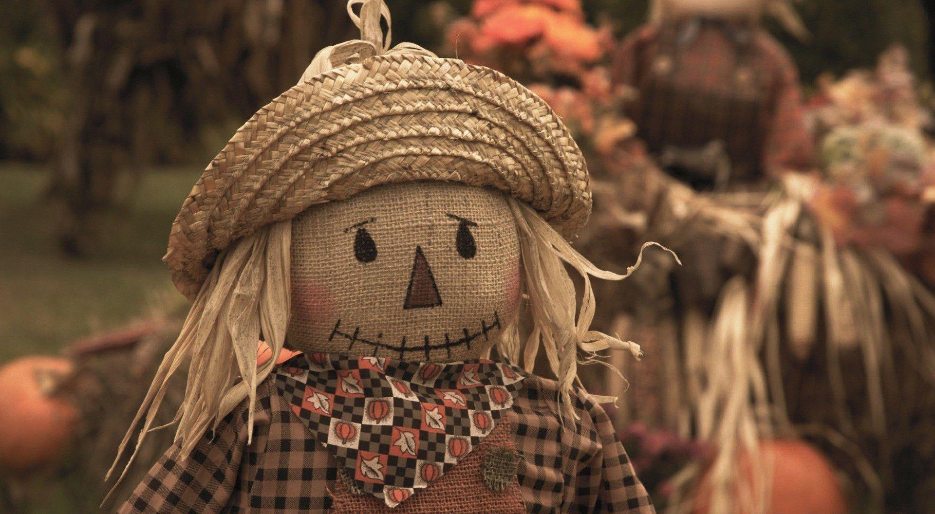 Cute Scarecrow Desktop Wallpapers