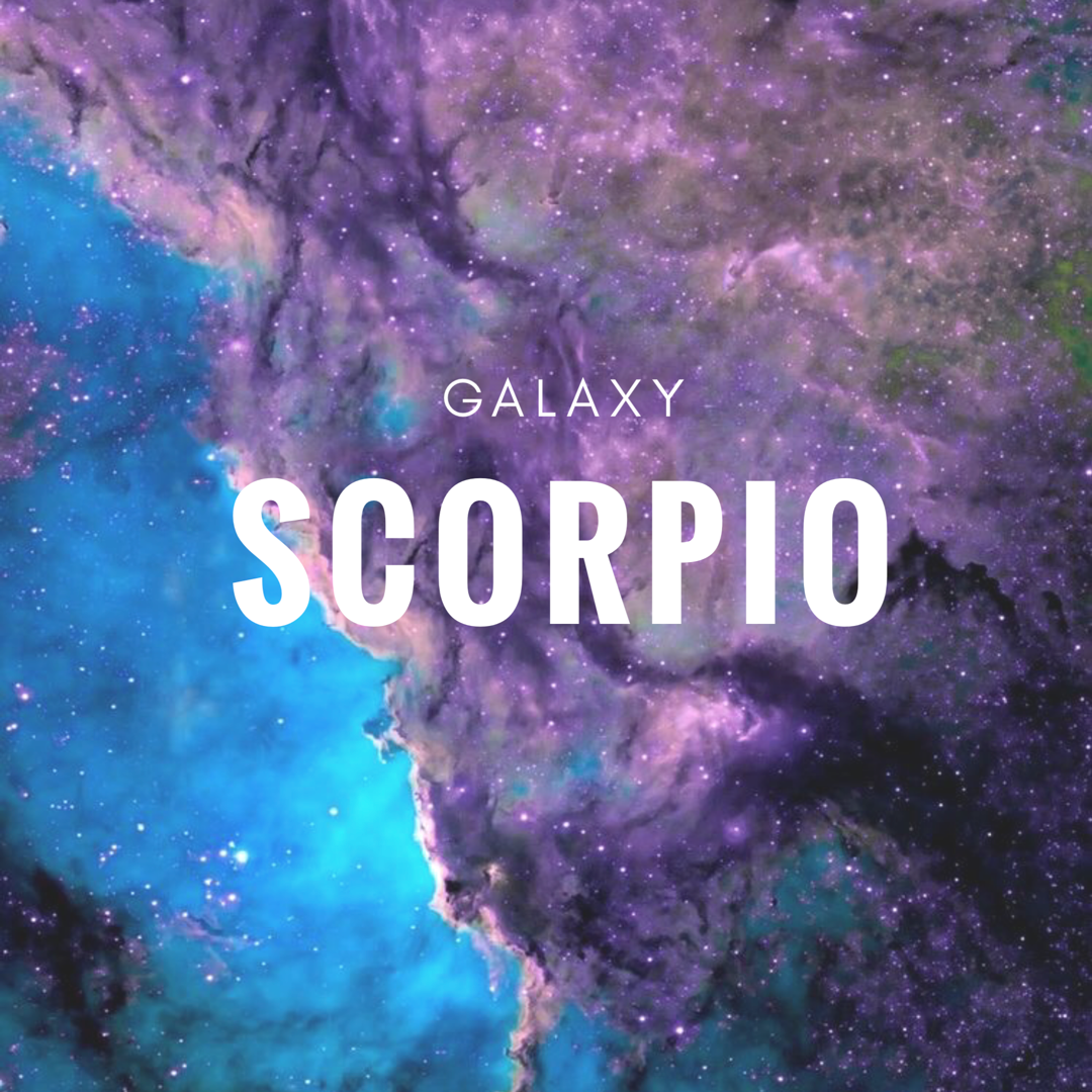 Cute Scorpio Wallpapers Wallpapers