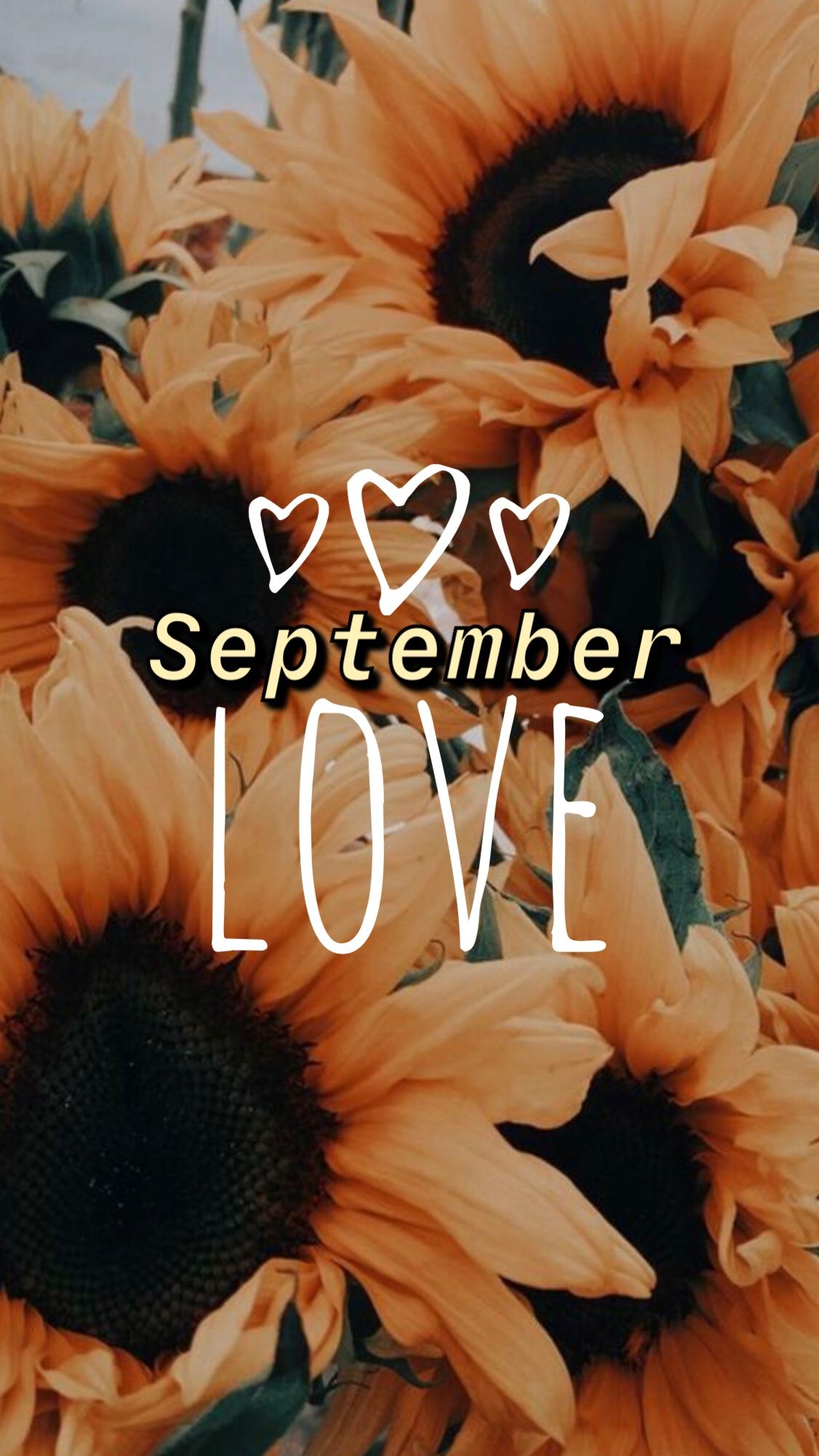 Cute September Wallpapers