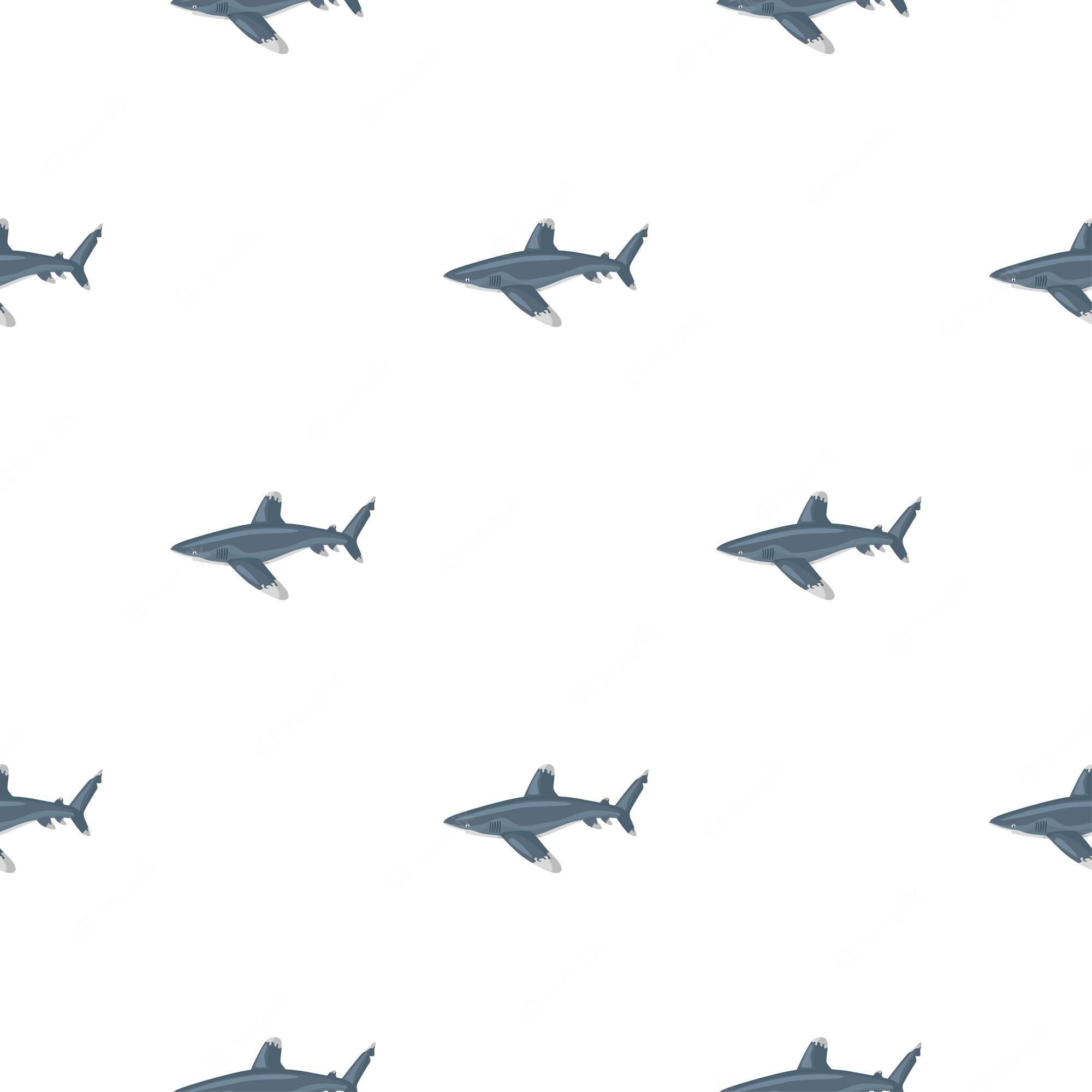 Cute Shark Wallpapers