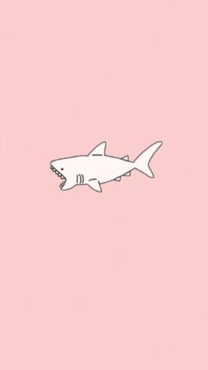 Cute Shark Wallpapers Wallpapers