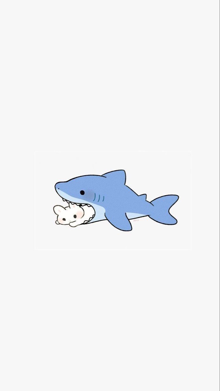 Cute Shark Wallpapers Wallpapers