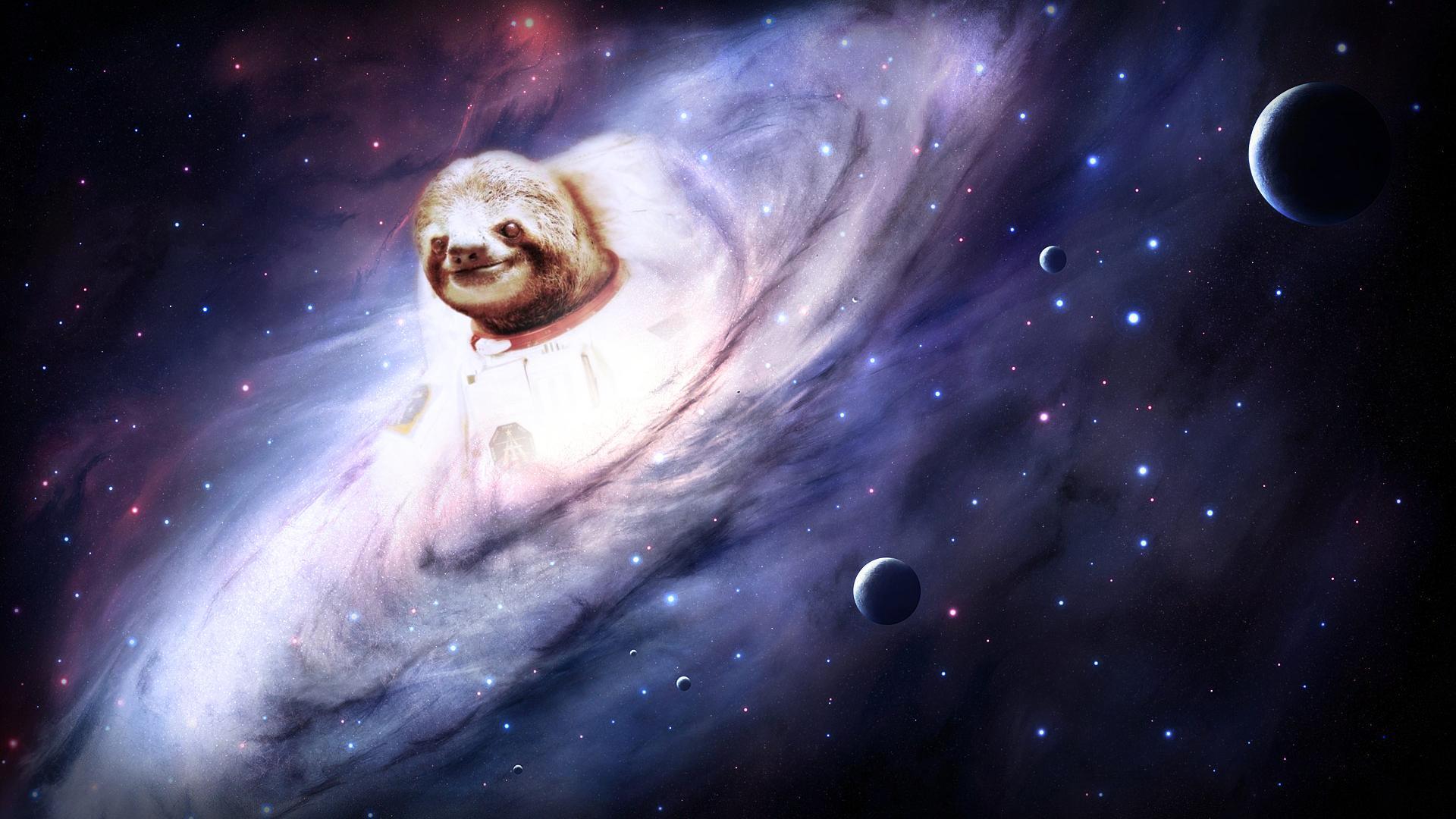 Cute Sloths Wallpapers Wallpapers