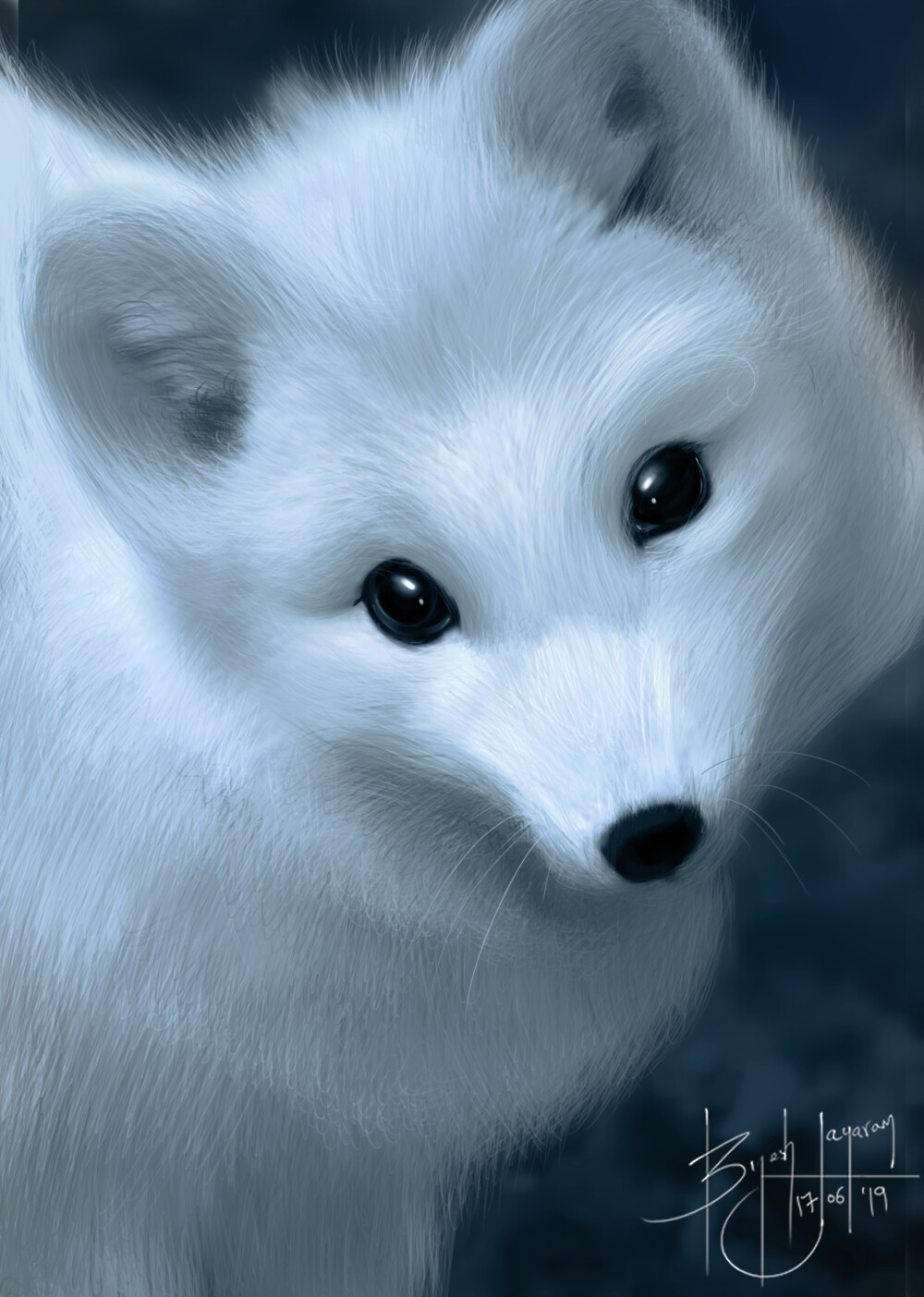 Cute Snow Fox Wallpapers