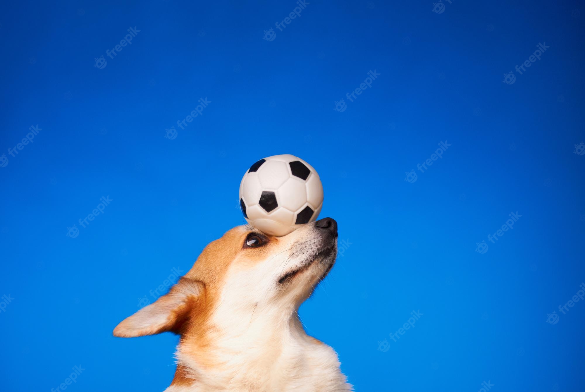 Cute Soccer Wallpapers