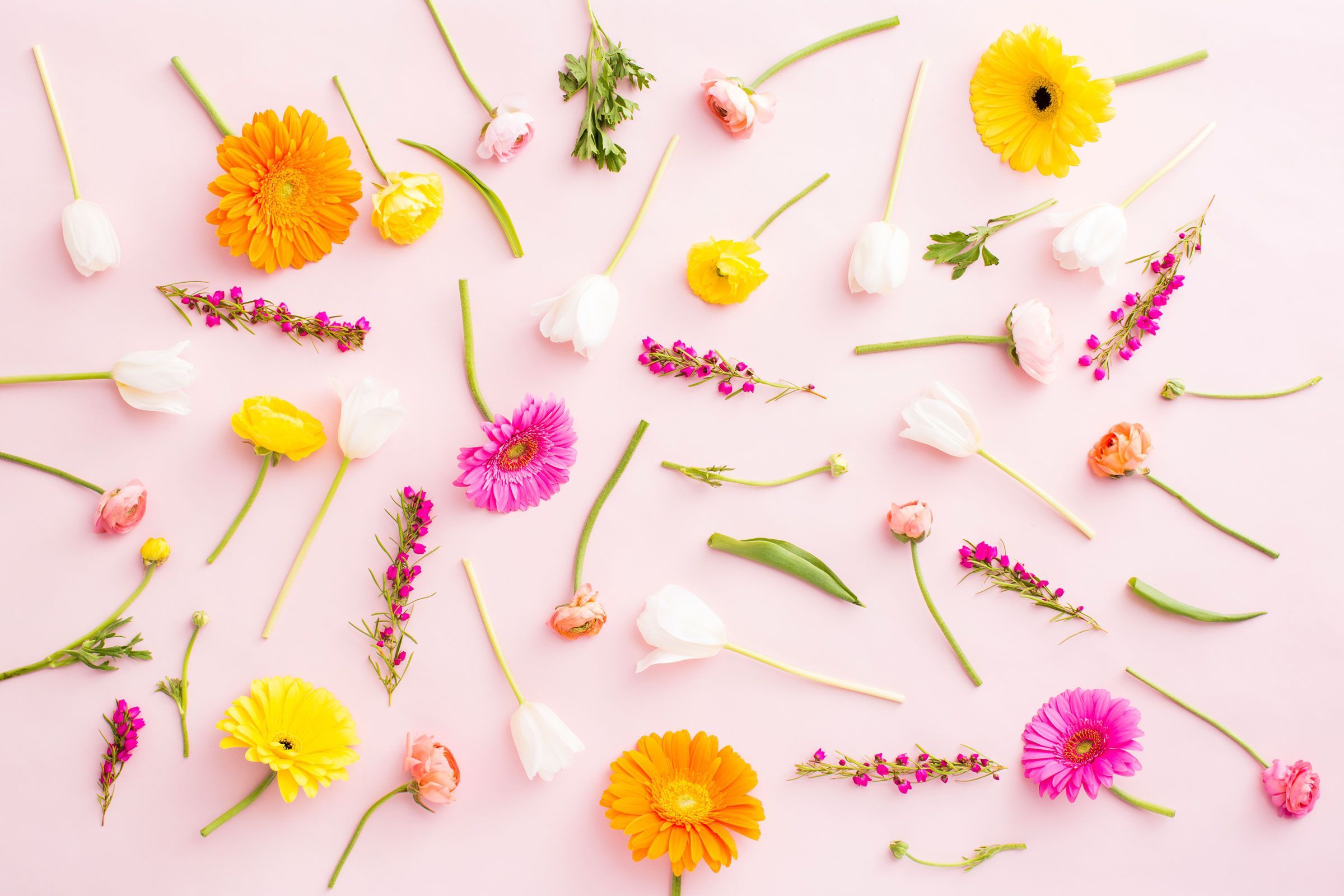 Cute Spring Desktop Wallpapers