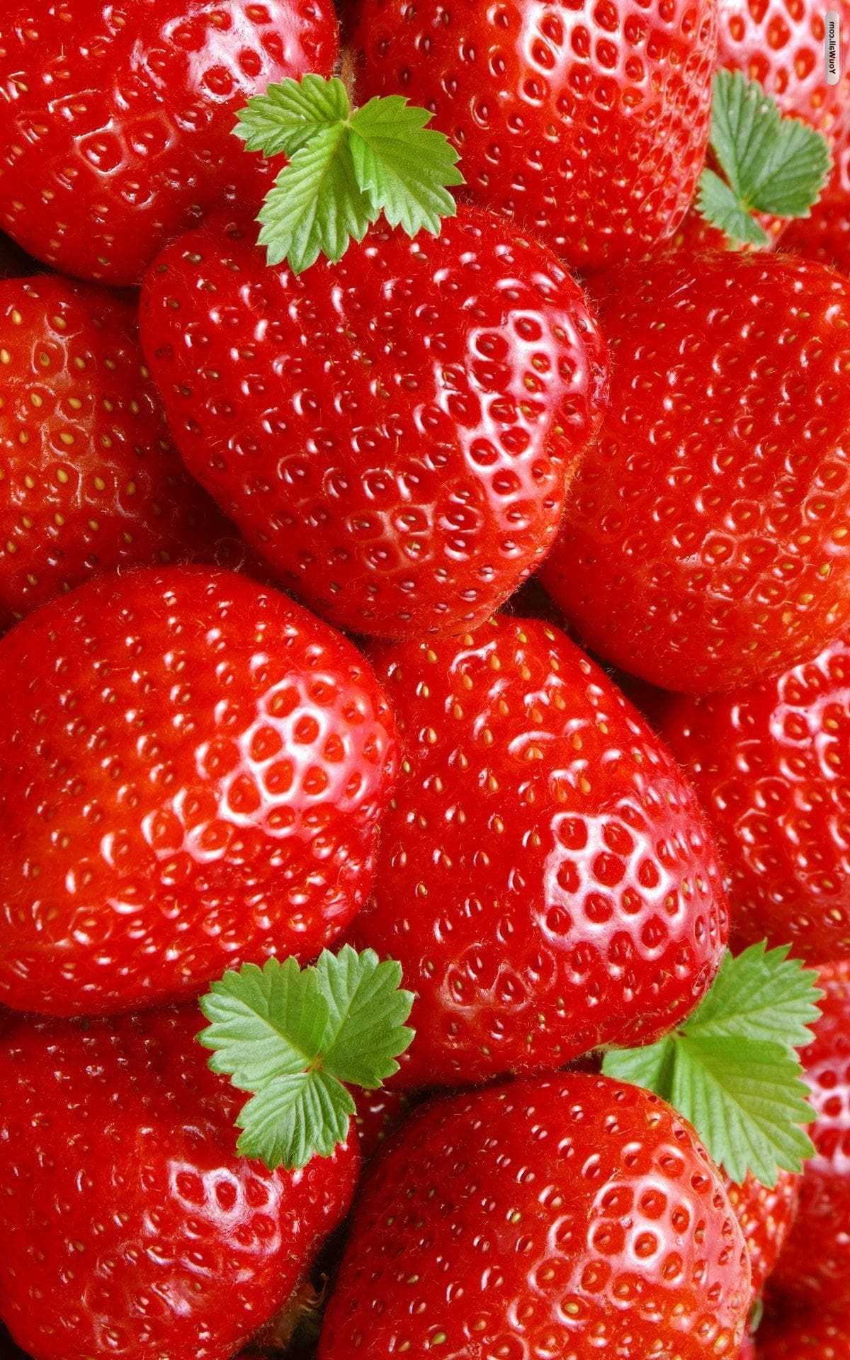 Cute Strawberry Desktop Wallpapers Wallpapers