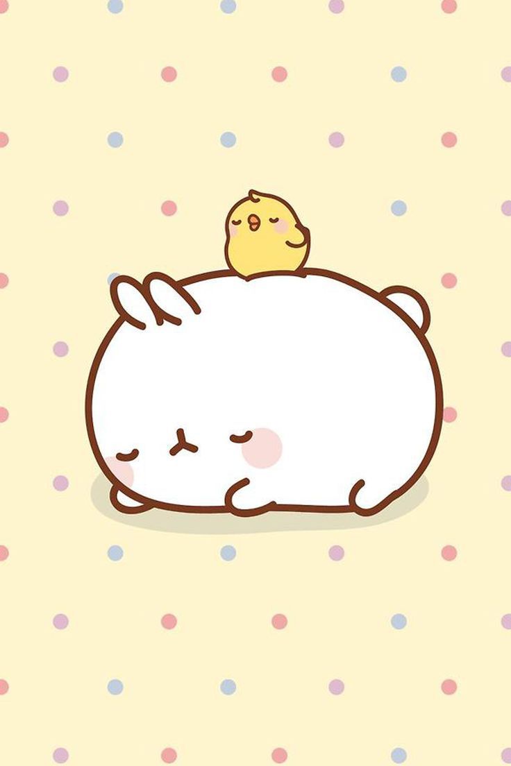 Cute Stuff Wallpapers