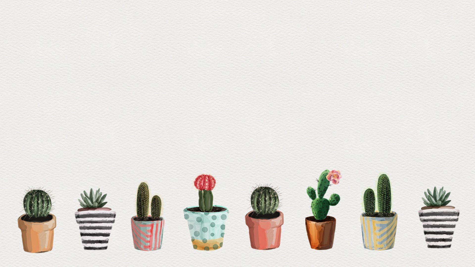 Cute Succulent Wallpapers