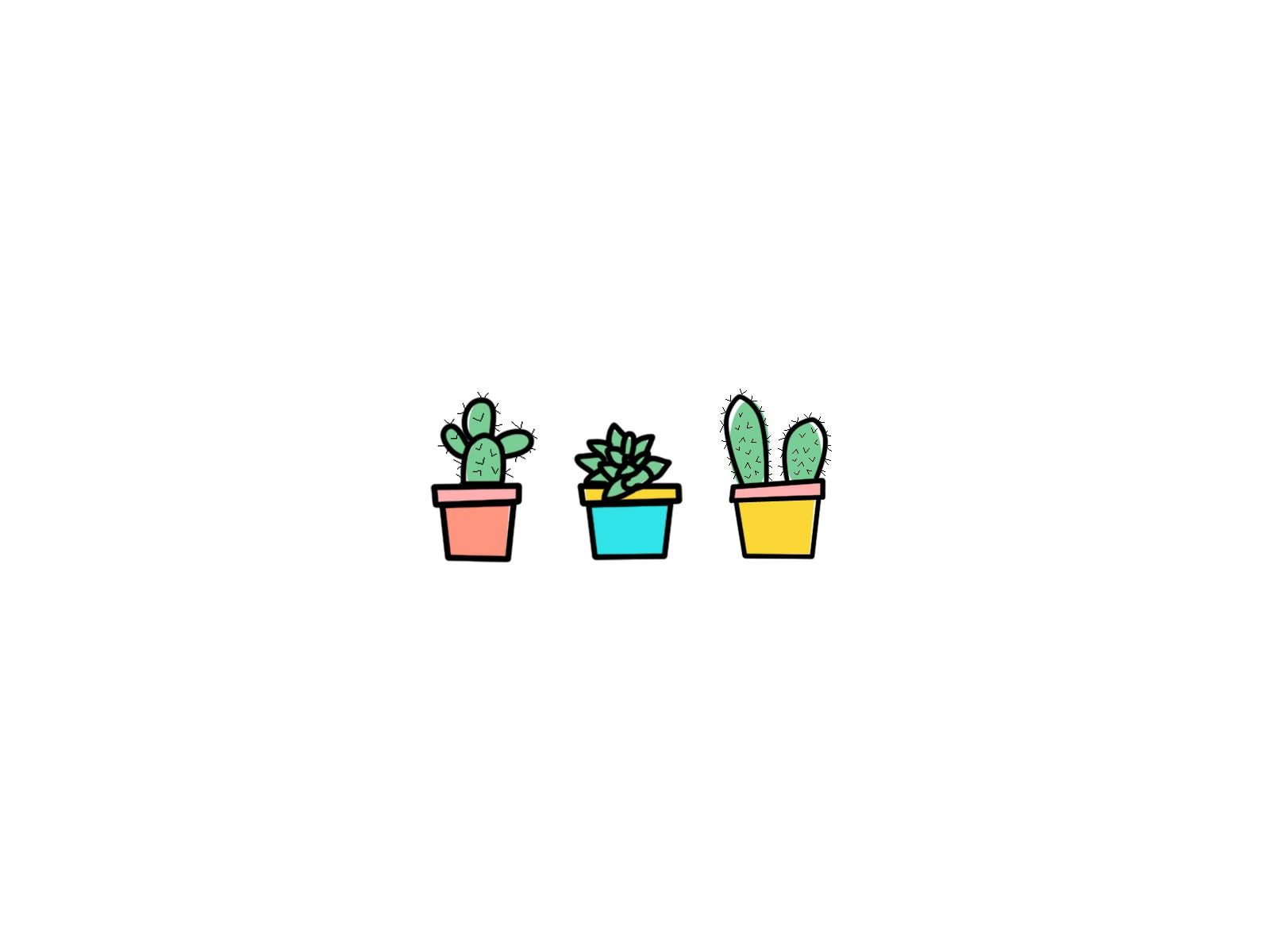 Cute Succulent Wallpapers