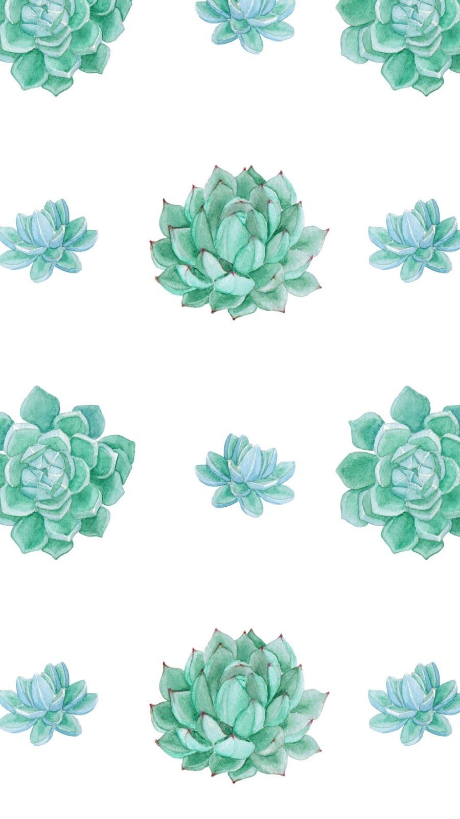 Cute Succulent Wallpapers