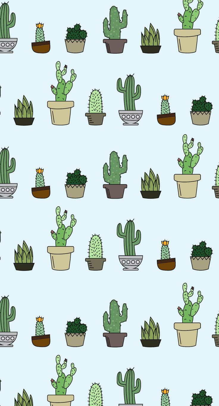 Cute Succulent Wallpapers