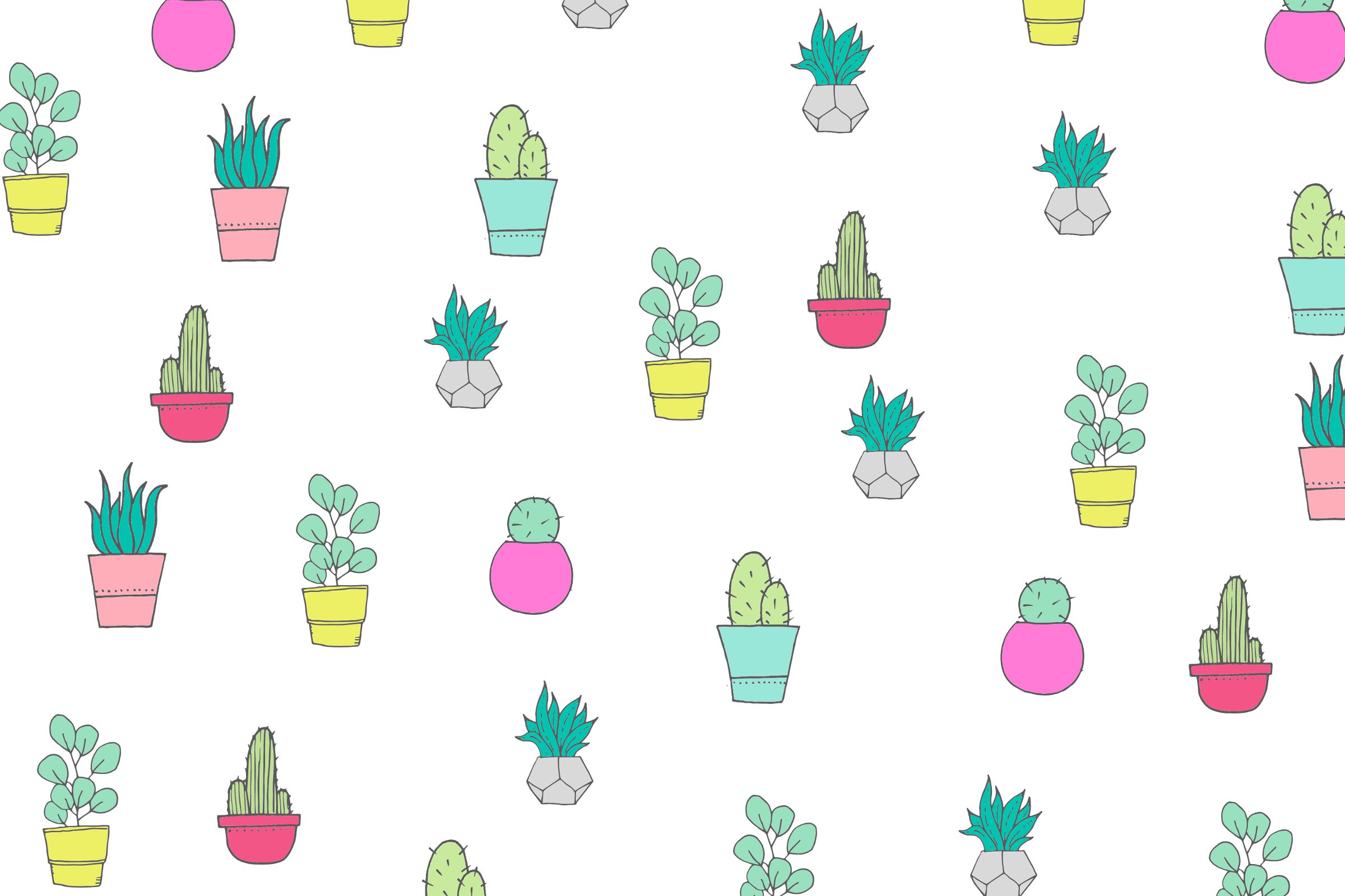 Cute Succulent Wallpapers