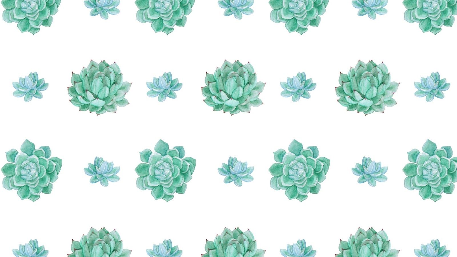 Cute Succulent Wallpapers