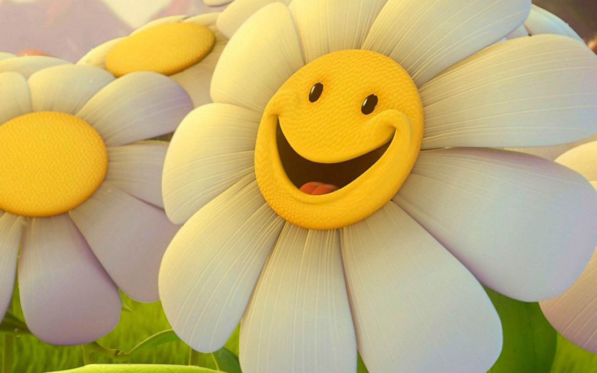 Cute Sunflower Wallpapers Wallpapers
