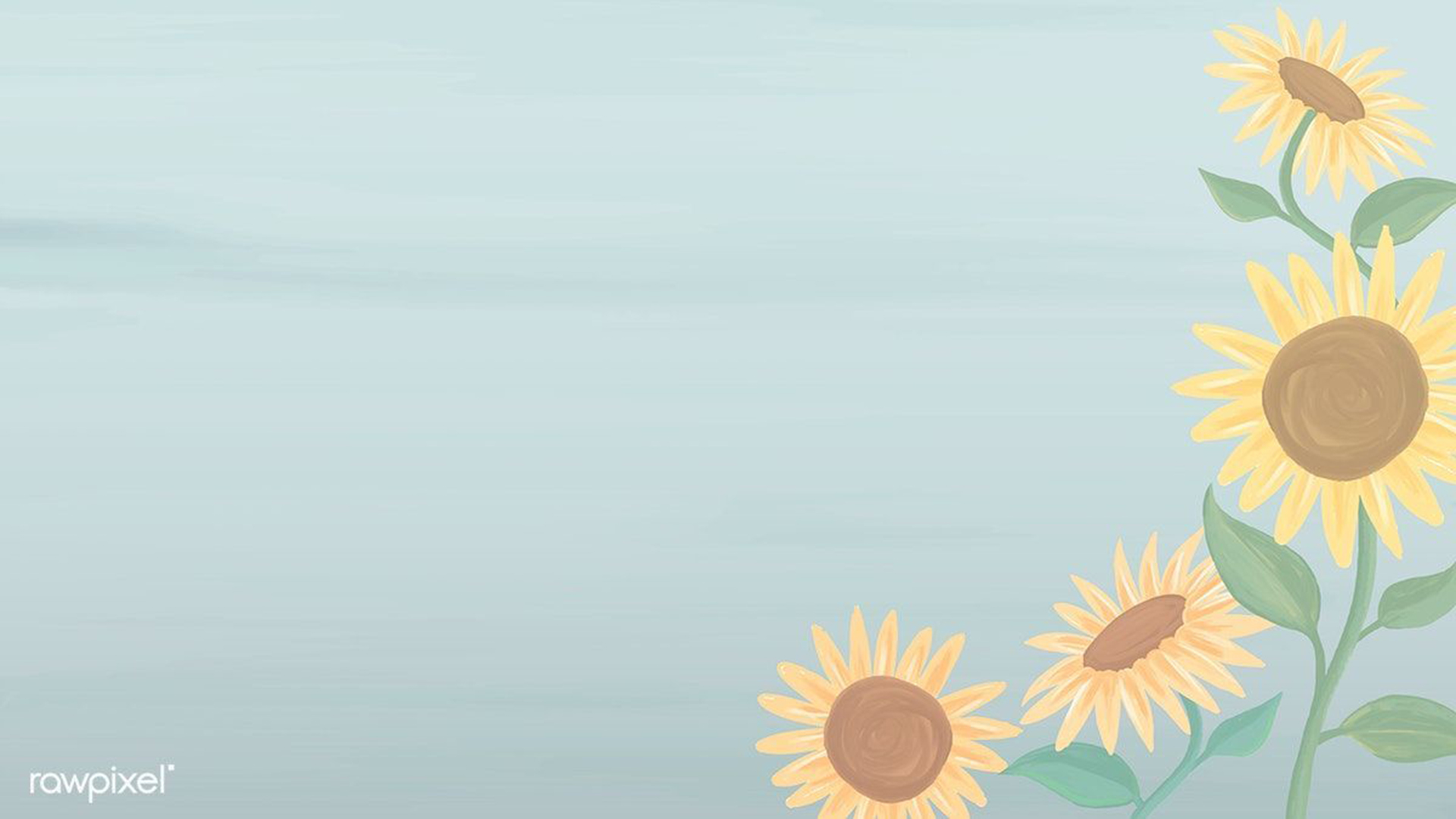 Cute Sunflower Wallpapers Wallpapers