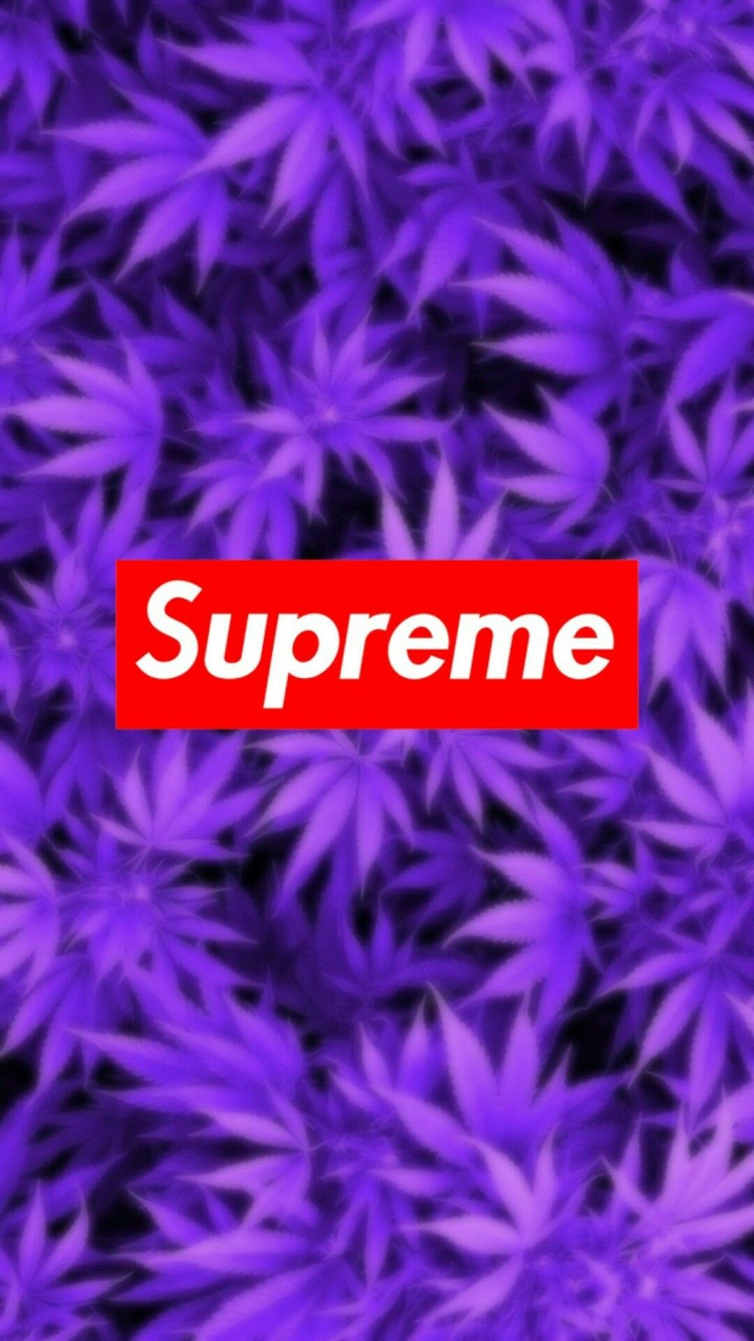 Cute Supreme Wallpapers