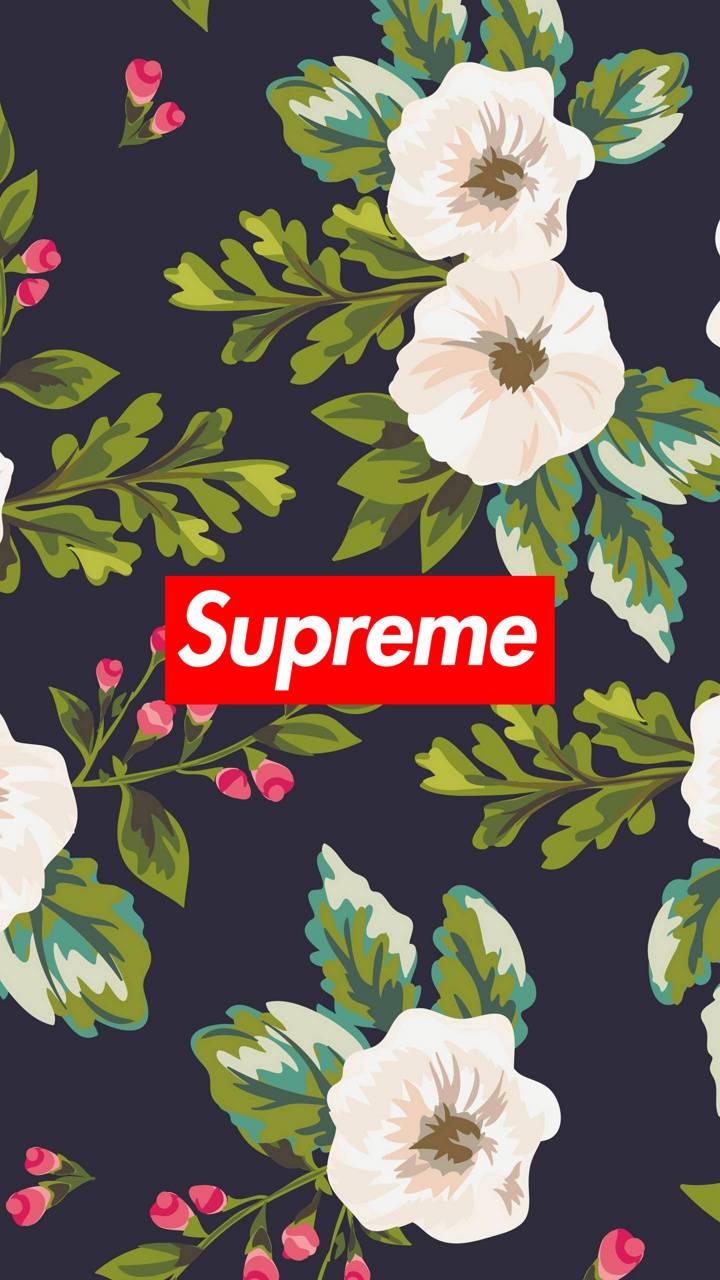 Cute Supreme Wallpapers