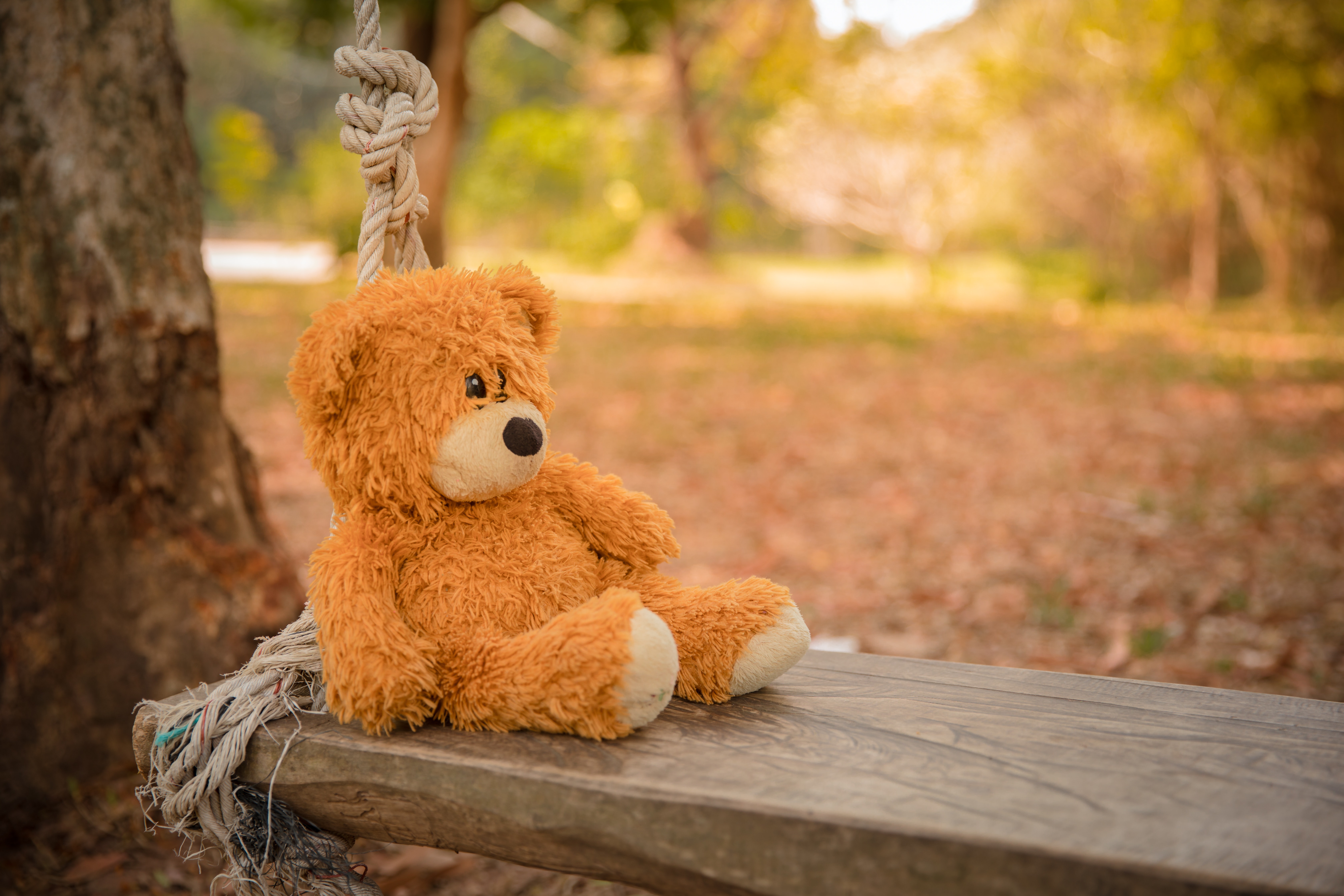 Cute Teddy Wallpapers