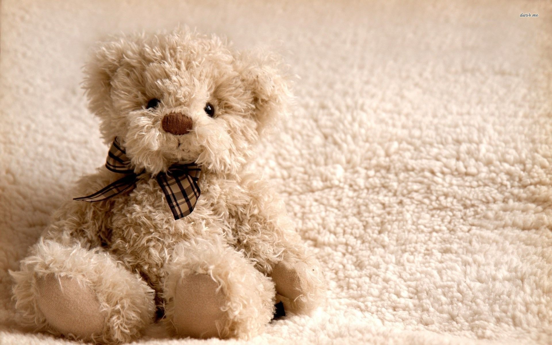 Cute Teddy Bear Wallpapers